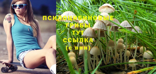 индика Нефтекумск