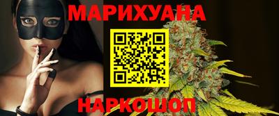 индика Кингисепп