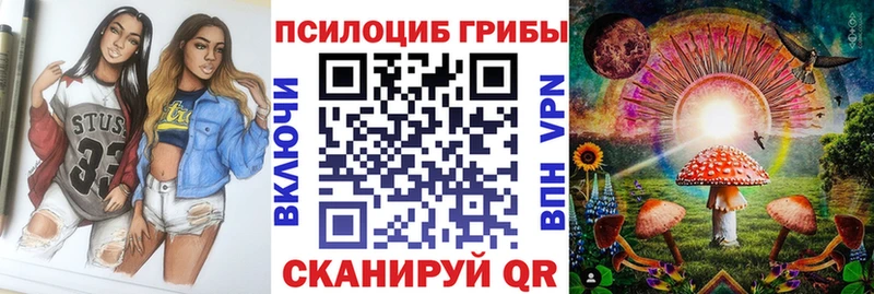 мориарти телеграм  что такое   Туймазы  Галлюциногенные грибы мицелий 