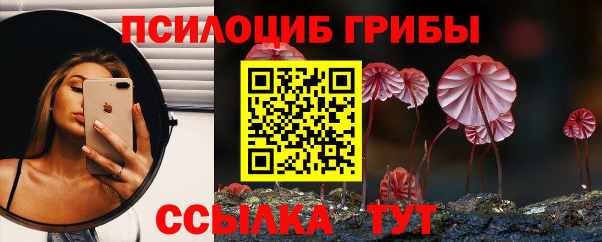 Псилоцибиновые грибы Psilocybe Туймазы