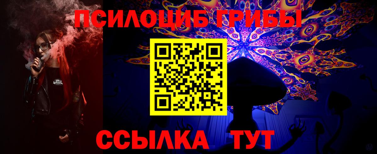 Псилоцибиновые грибы Psilocybe  Туймазы 