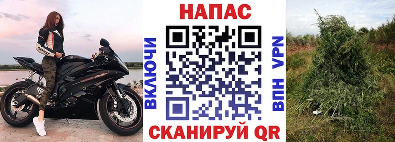 МАРИХУАНА ГИДРОПОН  блэк спрут маркетплейс  Туймазы 